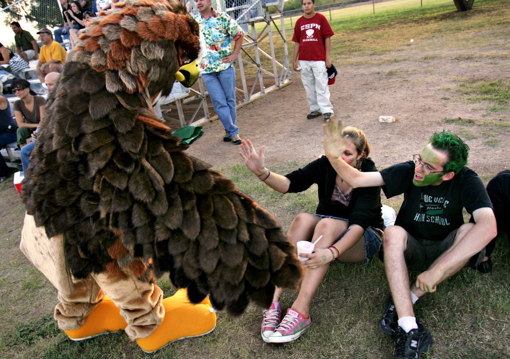 The Tanque Verde Hawk